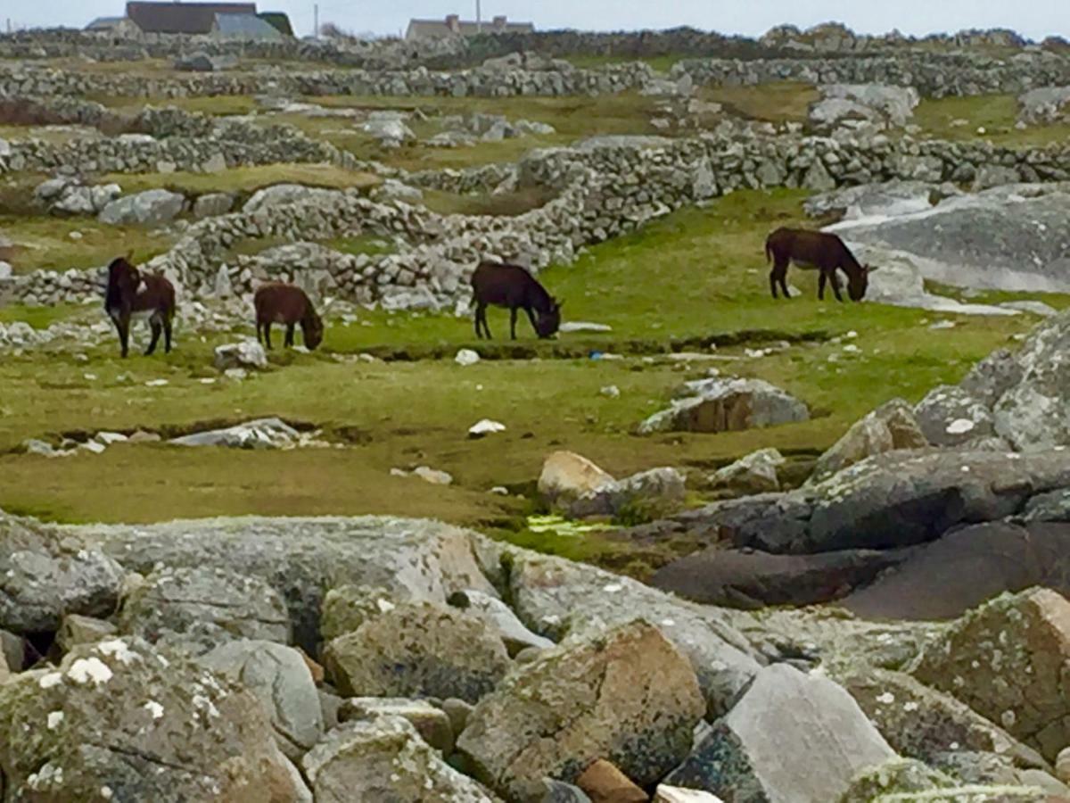 Earls View Pod Hotel Carna Buitenkant foto